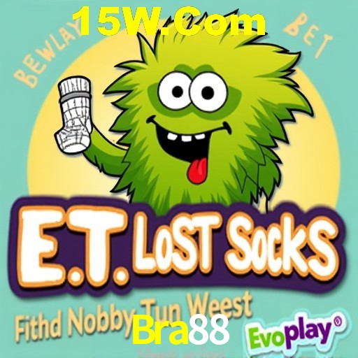 Security Systems Bra88